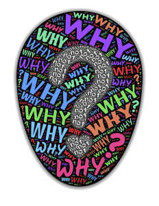 Word-art that says "Why" and "Not."