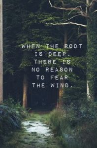Word-art that says, "When the root is deep, there is no reason to fear the wind."