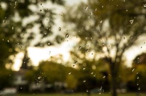 Blurred landscape in rain.