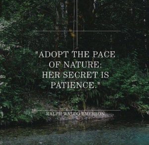 Word-art that says, "Adopt the pace of nature. Her secret is persistence." -Ralph Waldo Emerson