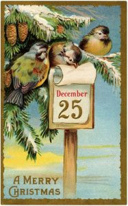 Merry Christmas word-art with birds turning the calendar to December 25.
