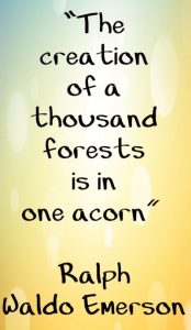 Word-art that says, "The creation of a thousand forests is in one acorn." -Ralph Waldo Emerson