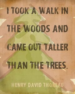 Word-art that says, "I took a walk in the woods and came out taller than the trees." -Henry David Thoreau