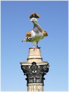 Image of a bird on a post wearing military regalia.