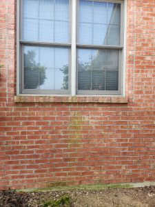Photo of a window in a brick wall with bare ground under it.
