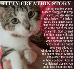 Word-art that says, "Kitty creation story. During the first winter, humans struggled to keep warm. God decided to create a helper. The helper would be a space heater that could be kept on the lap or the end of the bed for warmth. God covered the little heater with soft fur that relieved stress when humans put their hands on it. Two bright eyes were added as windows to God's love, for the heater created warmth with a heart that loved without condition. And, if you listened closely, you could hear his motor run."