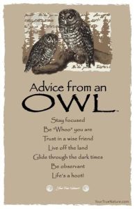 Word-art that says, "Advice from an owl: Stay focused. Be 'Whoo' you are. Trust in a wise friend. Live off the land. Glide through the dark times. Be observant. Life's a hoot!"