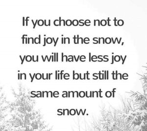 Word-art that says, "If you choose not to find joy in the snow, you will have less joy in your life but still the same amount of snow."