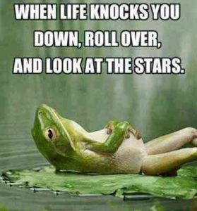 Word-art that says, "When life knocks you down, roll over, and look at the stars."