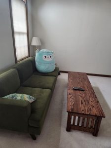 Photo of my couch with a Lorna the Llama squishy pillow.