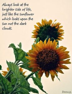 Word-art that says, "Always look at the brighter side of life, just like the sunflower, which looks upon the sun not the dark clouds."