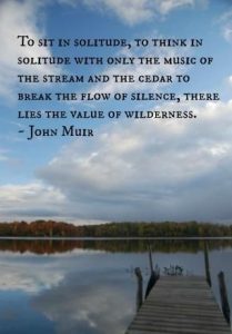 Word-art that says, "To sit in solitude, to think in solitude with only the music of the stream and the cedar to break the flow of silence, there lies the value of wilderness." -John Muir