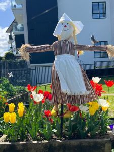 Photo of a garden in Auckland with tulips.