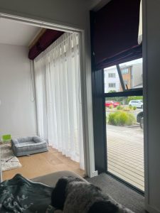 Photo of dog looking out a window.