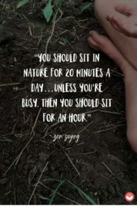 Word-art that says, "You should sit in nature for 20 minutes a day... unless you're busy, then you should sit for an hour."
