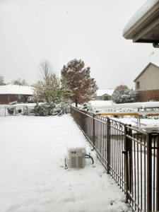 Photo of snow at my house in early November after returning from a trip south.