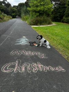 Photo of dog next to sidewalk chalk and a Merry Christmas message on asphalt.