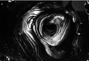 Image of a knothole in a dark place with reflections.