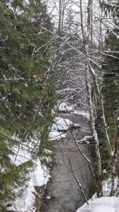 Photo of a creek in the woods on a snowy day.