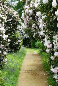 Photo of path through flower garden.