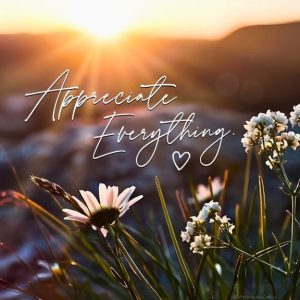 Word-art that says, "Appreciate Everything."