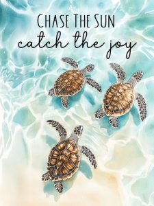 Word-art that says, "Chase the sun, catch the joy."