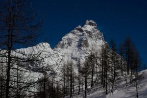Photo of snowy mountains behind a forest in moonlight.